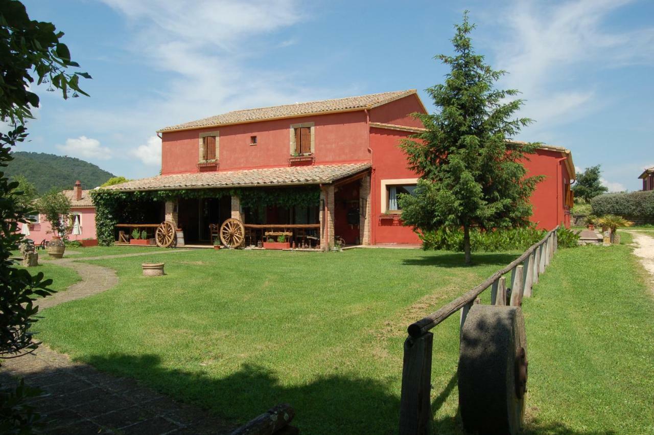 Agriturismo Castro Villa Ischia di Castro Екстериор снимка