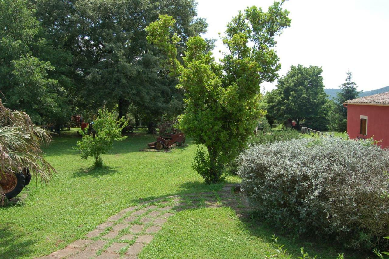 Agriturismo Castro Villa Ischia di Castro Екстериор снимка